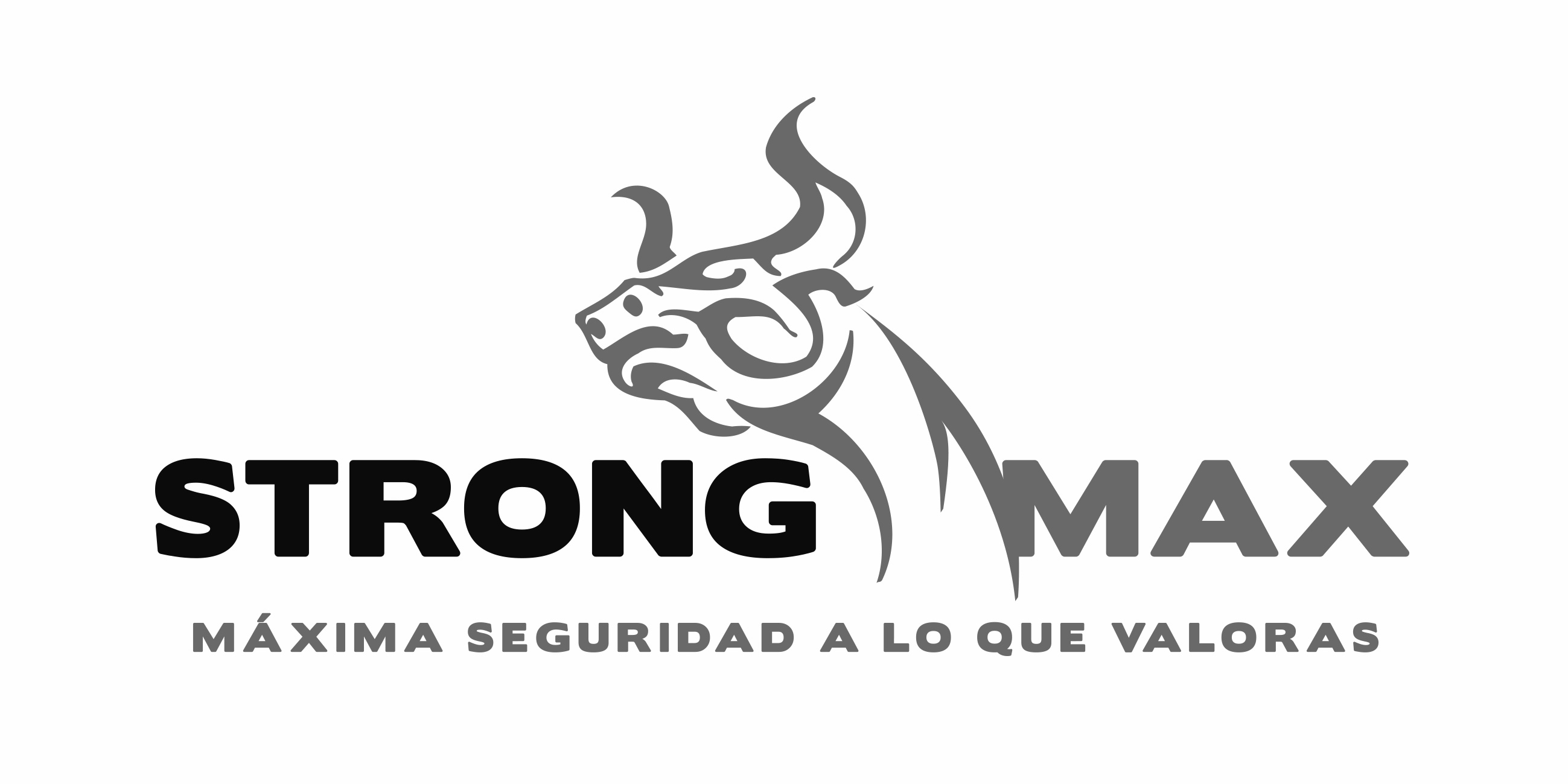 Logotipo Imagen Corporativa Strongmax